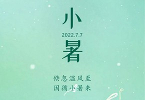 嵐泊灣丨蟬鳴聲聲小暑至，閑坐瓜田等風來